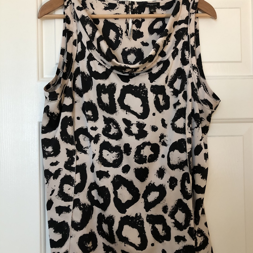 Ann Taylor Blouse -12